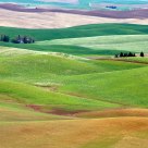 Nestled In The Rolling Hills.